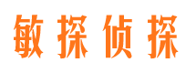 双清市侦探调查公司